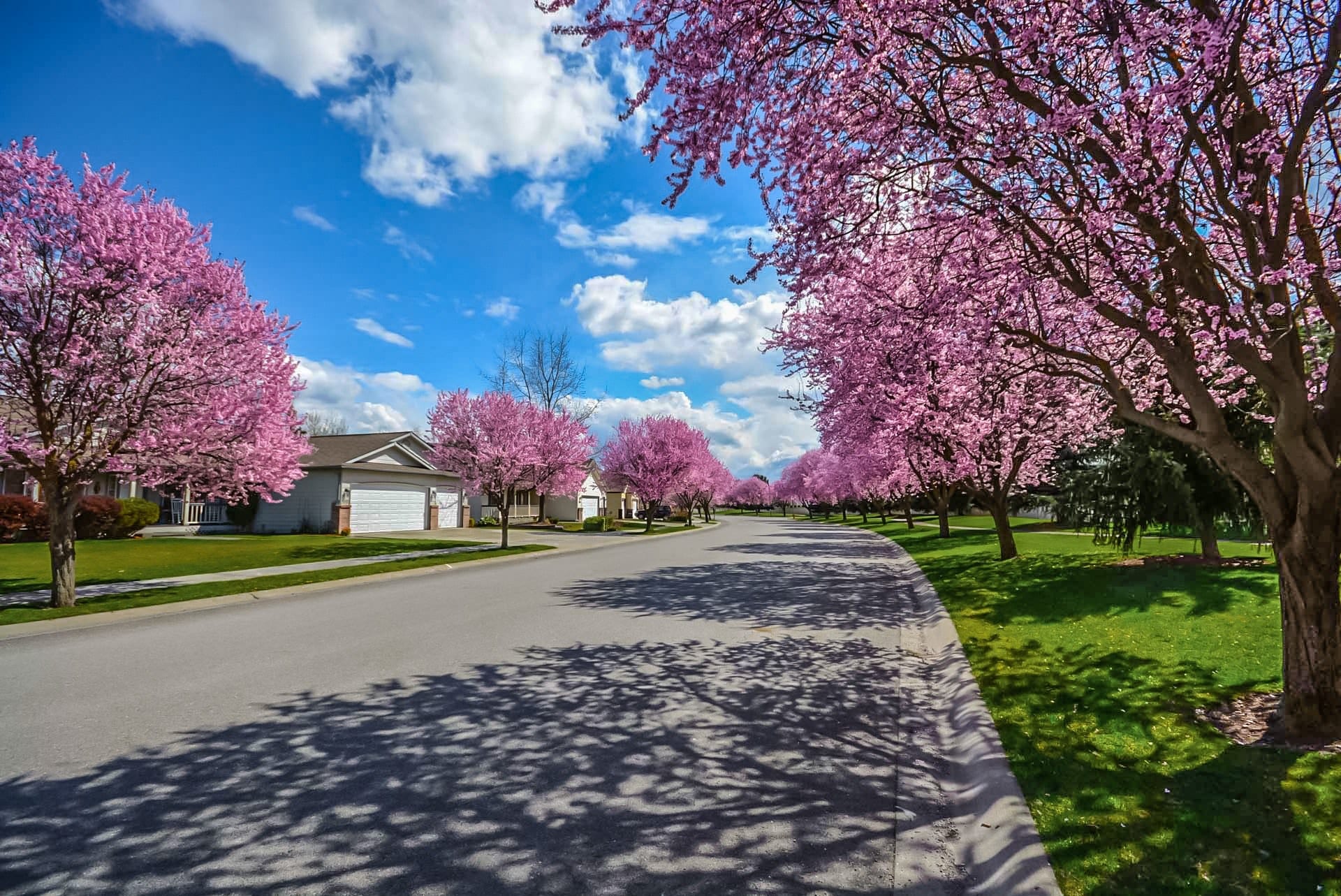 Homeowners like the extra benefits of Direct Home Sales, aside from the convenience