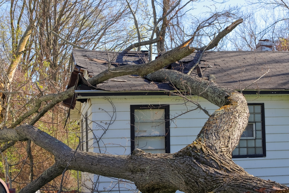 Sell Your House Without Making Repairs
